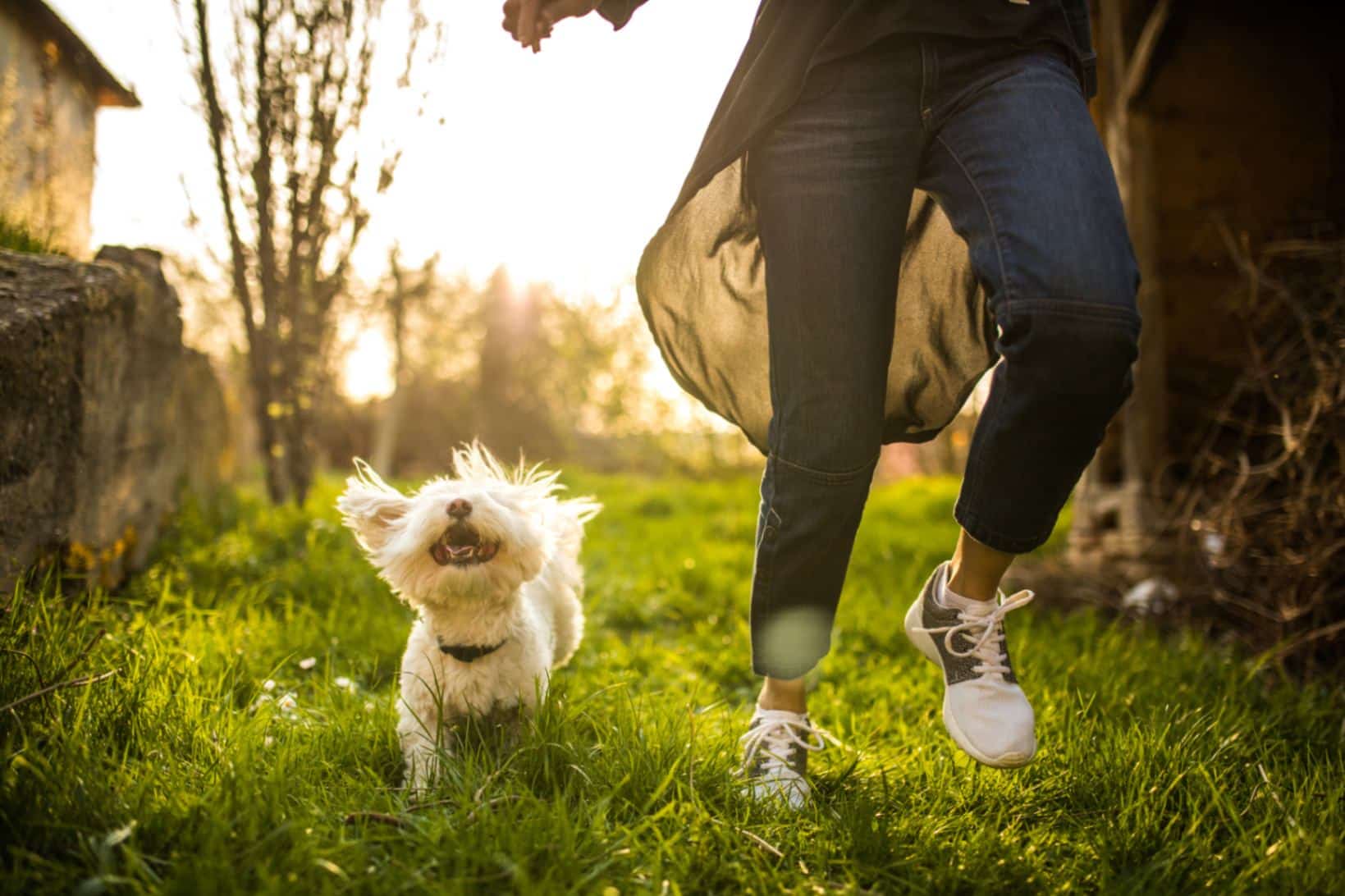 The Health and Mood-Boosting Benefits of Pets - HelpGuide.org