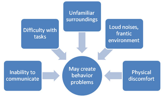 Causes of problem behavior