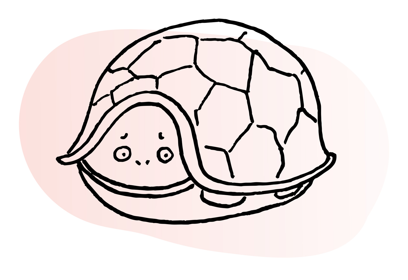 Line illustration of turtle with head and legs retracted into its shell