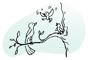 Line illustration of parent bird on branch of tree attentively watching its chick's attempt to fly as sibling looks on