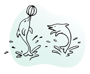 Line illustration of two dolphins playfully thrusting themselves out of water with their tails, one balancing a ball on its beak