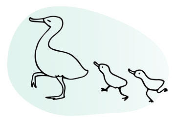 Line illustration of mother duck striding as two ducklings follow immediately behind, eyes on their mother