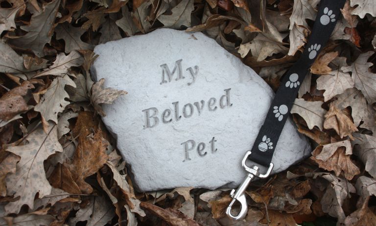 A pet's memorial stone rests on fallen leaves, the end of a dog leash draped over it