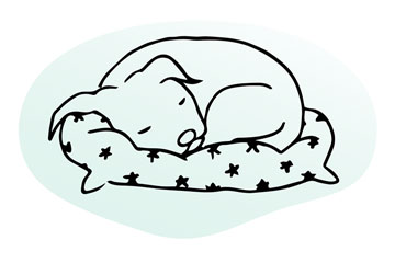 Line illustration of dog curled up on floor pillow, eyes closed