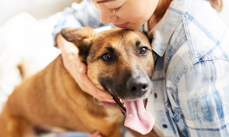How Pets Can Help You Cope During COVID-19 - HelpGuide.org